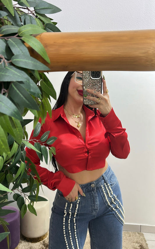 Red Crop top