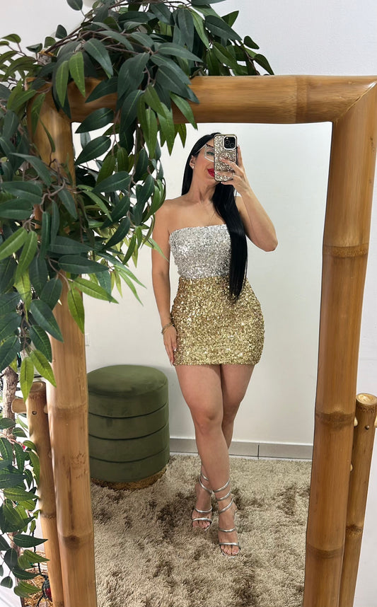 Gold/Silver Dress